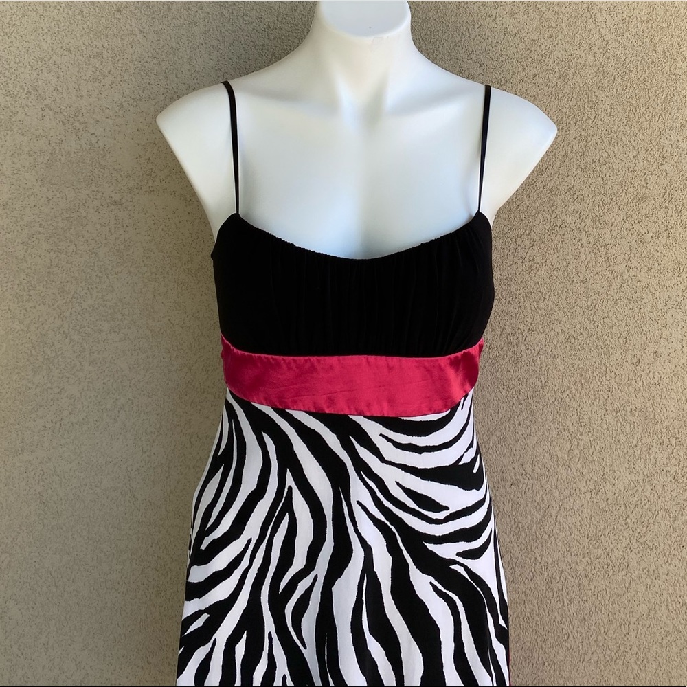 Animal Print Color Block Flirty Bow & Tie Dress - Picture 3 of 4